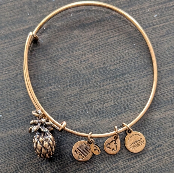 Alex and Ani Jewelry - Alex and Ani Bronze Pineapple Charm Bracelet